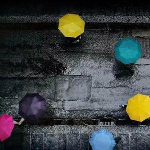 禅狱绳艺工作室最新消息今天
