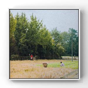 禅狱绳艺工作室最新消息今天
